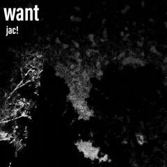 want (prod. jac!)