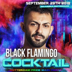 COCKTAIL FEST SESSION  ( ROTTERDAM PRIDE ) BLACK FLAMINGO