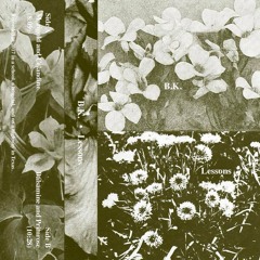 B.K. - Marigold and Celandine