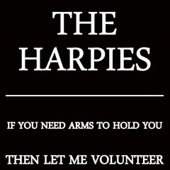 If You Need Arms To Hold You, Then Let Me Volunteer