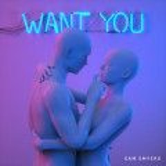 Sam Smyers - Want You (LIVIX Remix)
