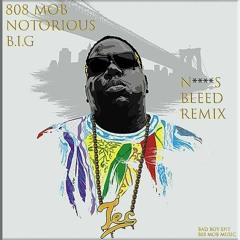 Notorious Big - Niggas Bleed Remix