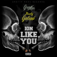 SheeshyGalepsi x GreyKar - Ion Like You