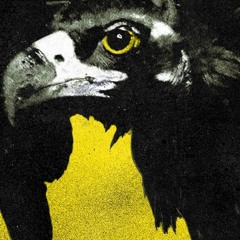 Twenty One Pilots - My Hometown