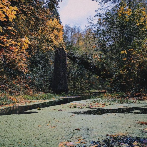 nothing lasts forever