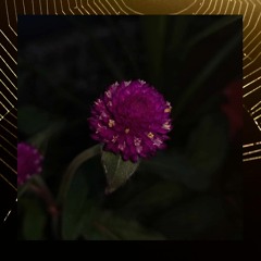 Bloom Up Feat. Matticus (demo) (prod. Griesgrammar)