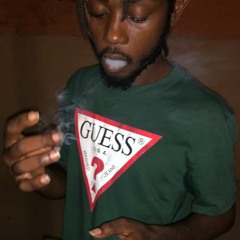 BIZZY - Do Not Disturb