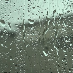 safe feat shiloh dynasty