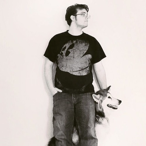 Spring Blossom Falling