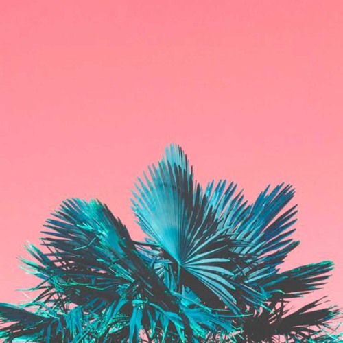 Highs In The Low 70s