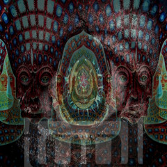 Stinkfist (Tool Cover)