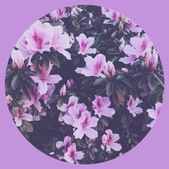 dj colors - violet