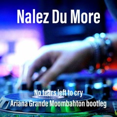 Nalez Du More - No Tears Left To Cry (Moombathon Bootleg)
