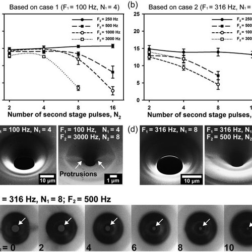 haloperidol - hunger