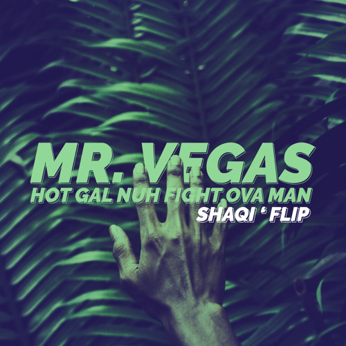 Mr. Vegas - nuh fight over man ( SHAQI ' FLIP )
