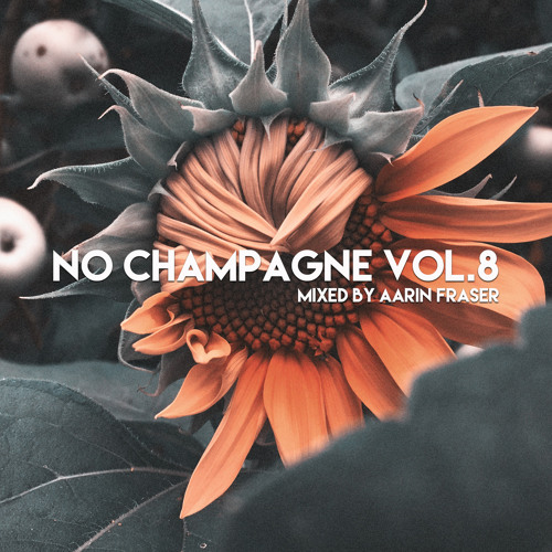 Aarin Fraser - No Champagne Vol.8