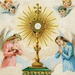 Tantum Ergo Sacramentum EUCHARISTIC BENEDICITON - Phước Lành Thánh Thể