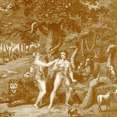 J. Cole - Forbidden Fruit (Ft. Kendrick Lamar)(JUNO Remix)2018