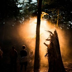 Zeller's Wood Kit Demo