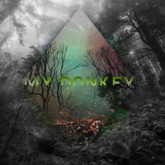 SlowP - My Donkey (Original Mix)FREE DL