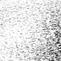 recording 13.01.2013