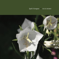 Ipek Gorgun - Tserin Dopchut