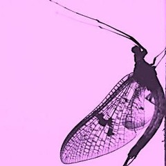 Gone Tomorrow ft. Jessie Ryan