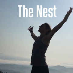 The Nest (YIN Class )