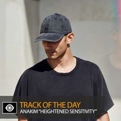 Track of the Day: Anakim “Heightened Sensitivity”