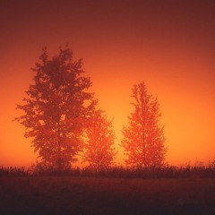 LAGOON: Fall Of Summer Mix 2018