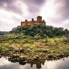 King Arthur (Derek Fiechter tribute)