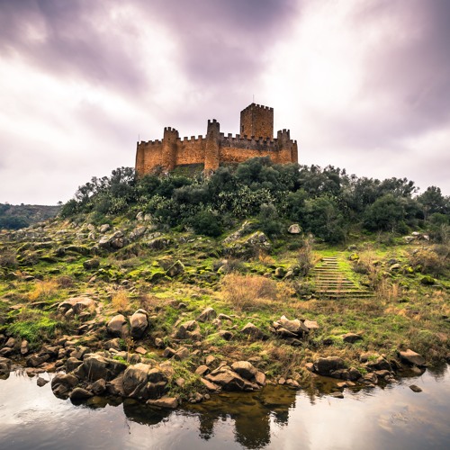 King Arthur (Derek Fiechter tribute)