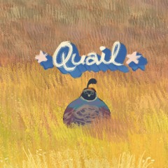 just a quail