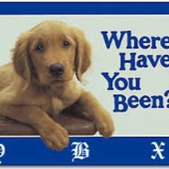 Where Have You Been ( Lil Wayne - Mr. Carter ft JayZ Freestyle)