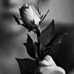 قصة جديدة.mp3