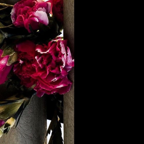 No Service/Love (feat. 0 hype) [prod. by Sachin B. & MA6IC]