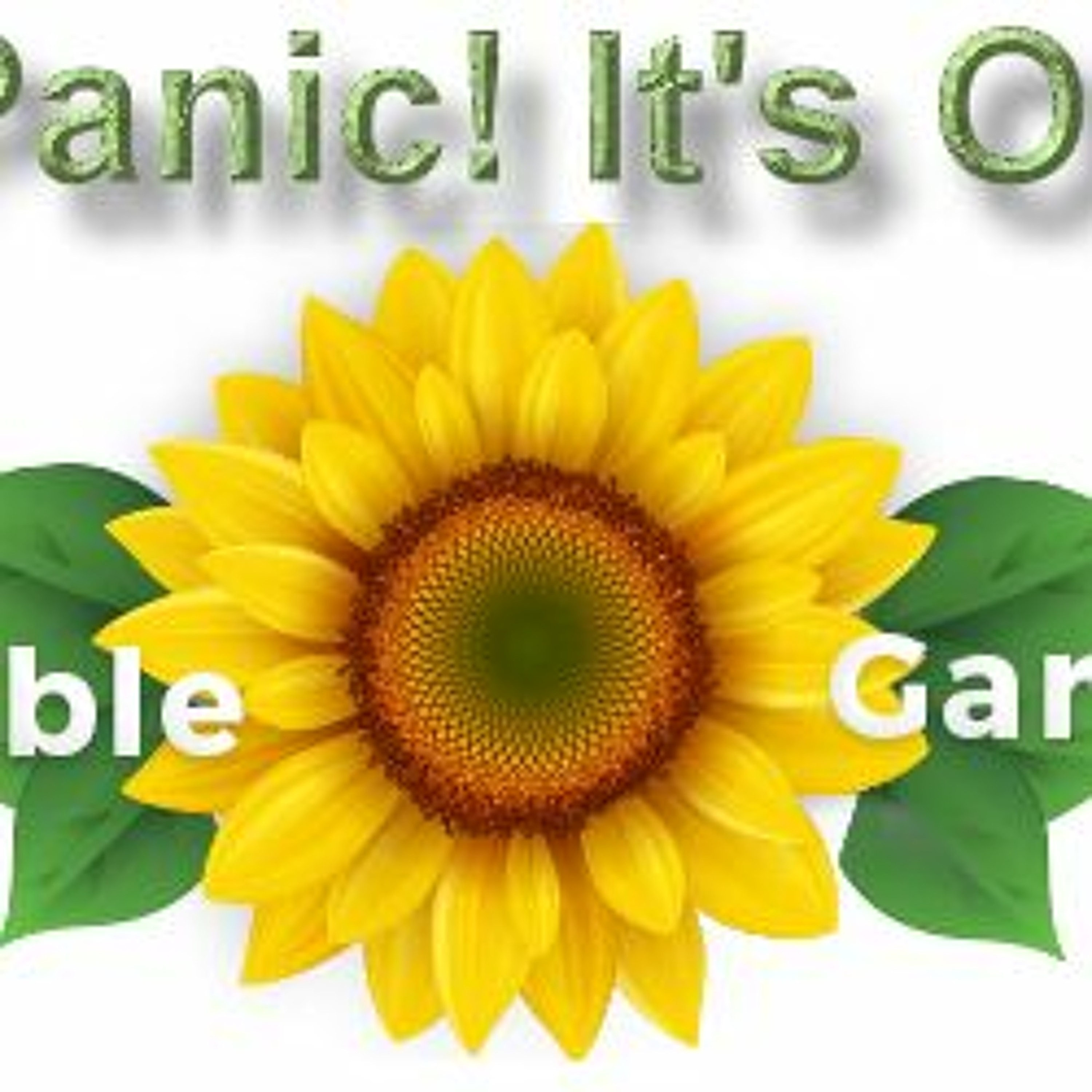 Dont Panic Its Organic 2018 - 08 - 25 episode artwork