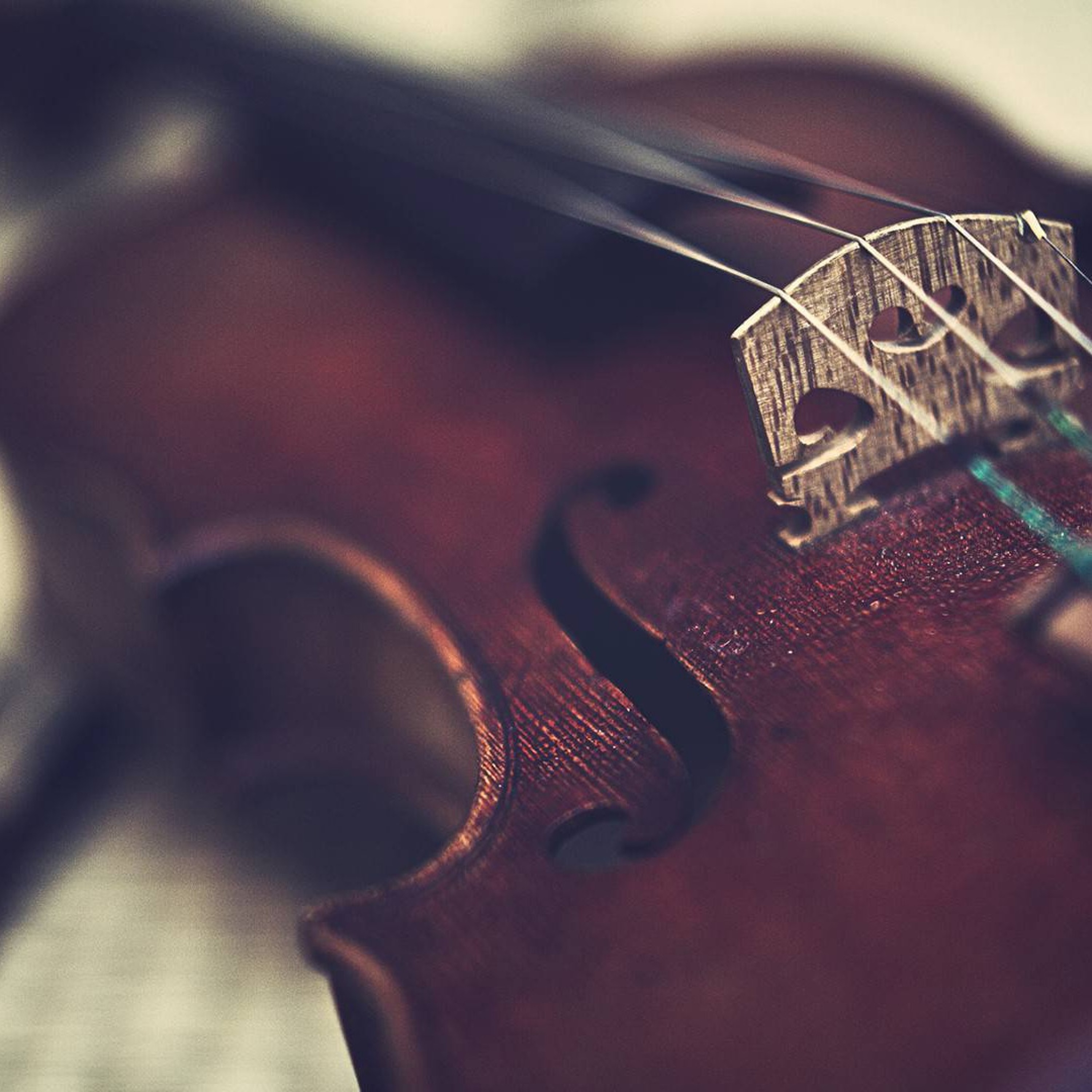 Violin (Original Mix) episode artwork