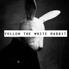 TripAdvisor Follow The White Rabbit