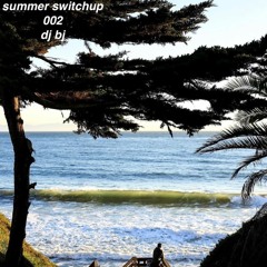 summer switchup  002