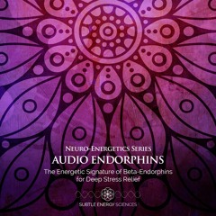 Audio Endorphins - 5-min - Demo