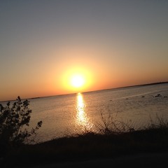 Guimbarde languinante LIVE LOOPING PERFORMANCE SOLO