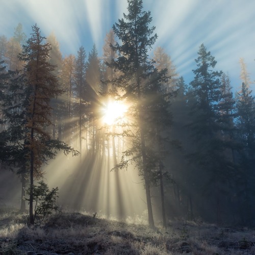 Ecstasy Outside (scottbach Mashup)