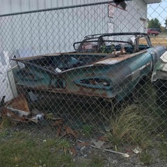 CHAIN LINK FENCE