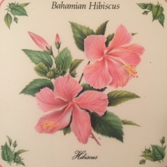 Bahamian Hibiscus [Beat Tape]