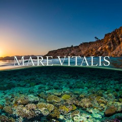 Mare Vitalis