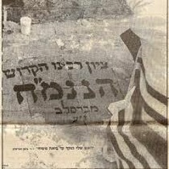 טראנס סבא - נ נח זה דבר חדש