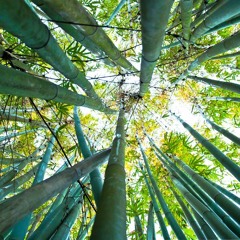 BITS AND PIECES (J Cole Rich Niggaz )