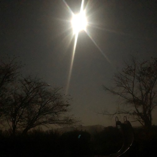 i wish you were here