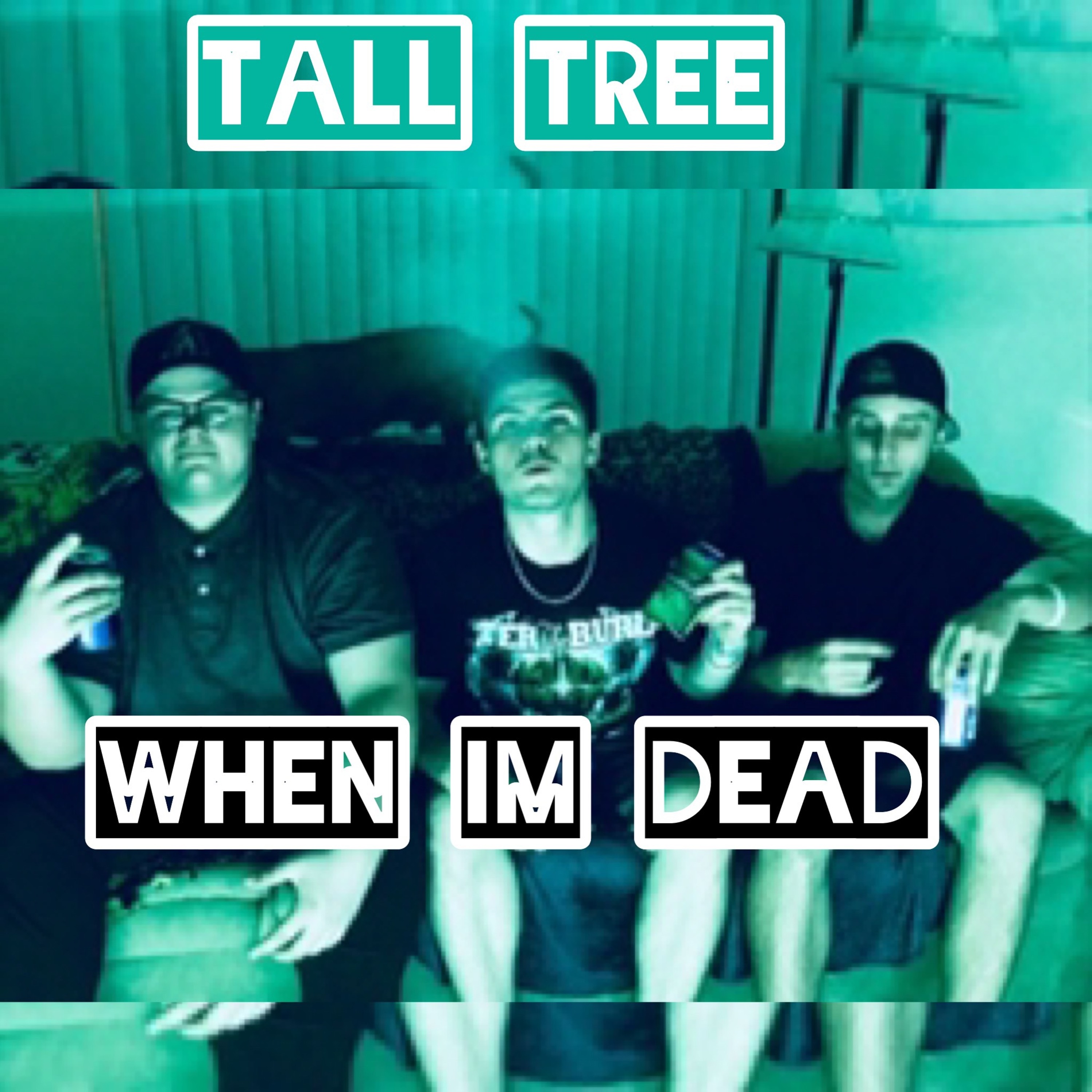 WHEN IM DEAD (prod.perspektivist) episode artwork